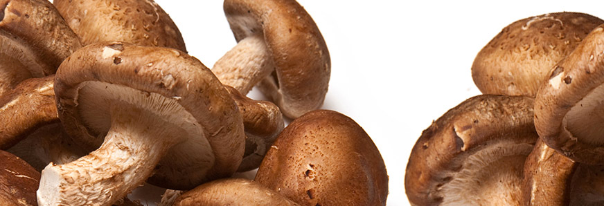 Sulfitos no declarados en setas Shiitake procedentes de China