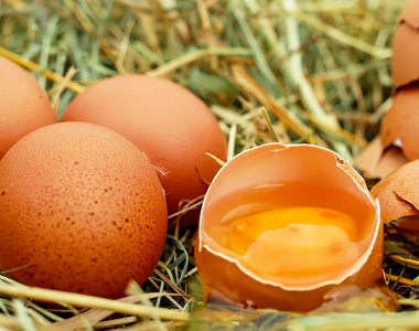 Detección de Fipronil en huevos de  gallinas ponedoras  procedentes de Bélgica y Holanda.