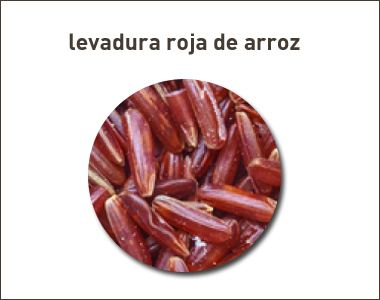 Irradiación no autorizada de levadura roja de arroz en Italia