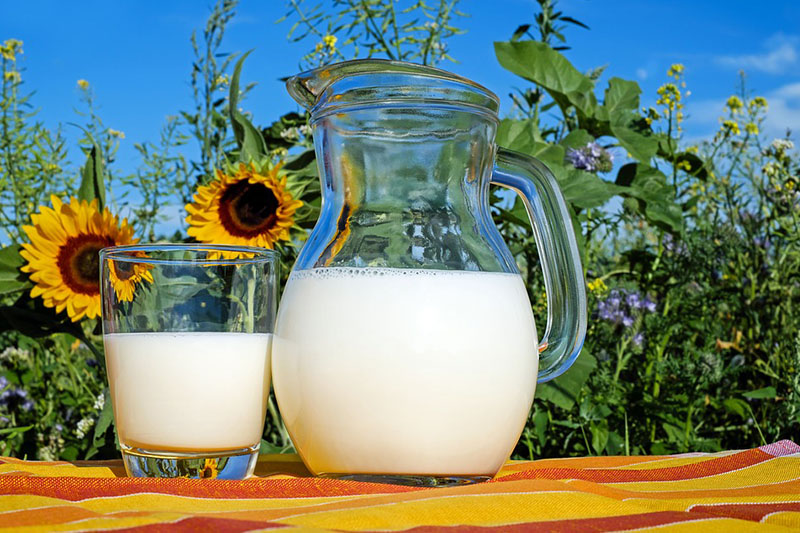 Proteína de suero de leche no declarada en preparado para flan procedente de España